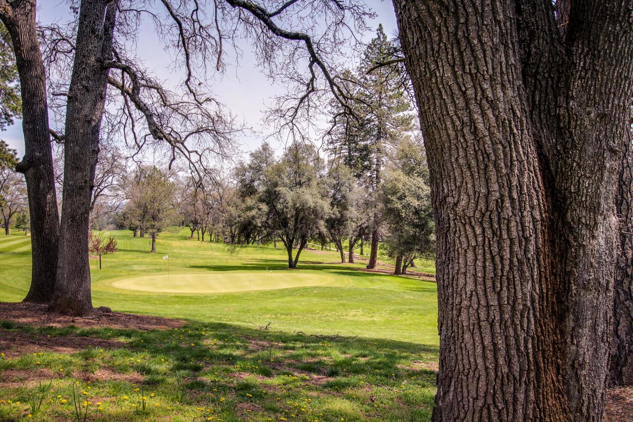 Evergreen And Serene Groveland Exterior photo